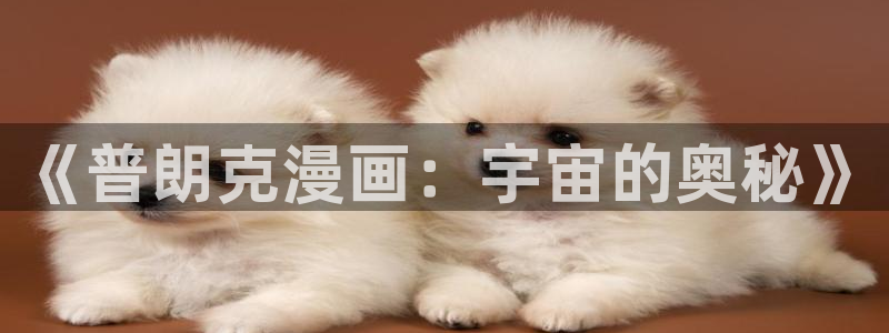 虫虫漫画观看