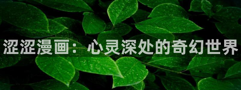 虫虫漫画主页免费漫画页面