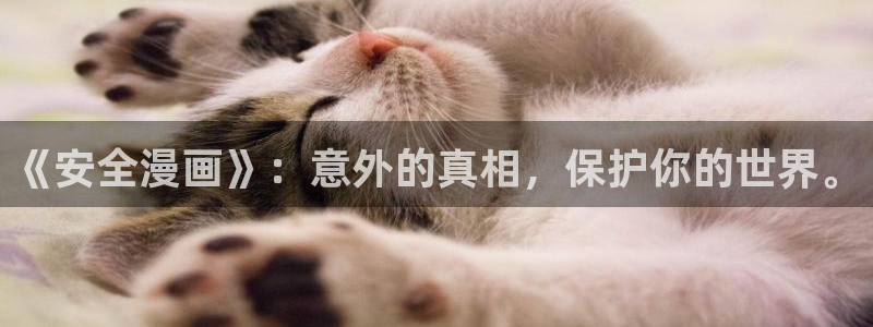虫虫漫画海量：《安全漫画》：意外的真相，保护你的世界。