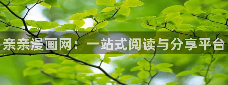 虫虫漫画免费漫画入口在哪里可以找到：亲亲漫画网：一站式阅读与分享平台