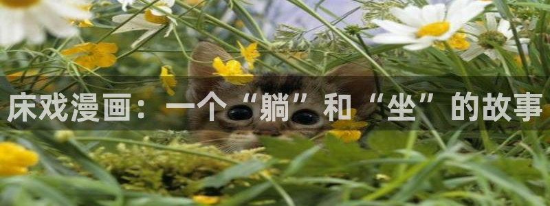 虫虫漫画免费无限阅读下载：床戏漫画：一个“躺”和“坐”的故事