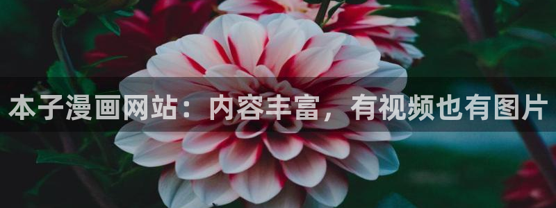老版虫虫漫画免费观看