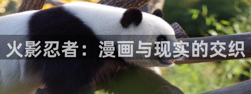 虫虫漫画首页登录：火影忍者：漫画与现实的交织