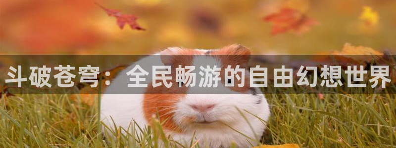 虫虫漫：斗破苍穹：全民畅游的自由幻想世界