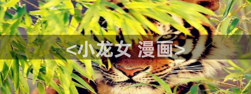 虫虫漫画官网入口：<小龙女 漫画>