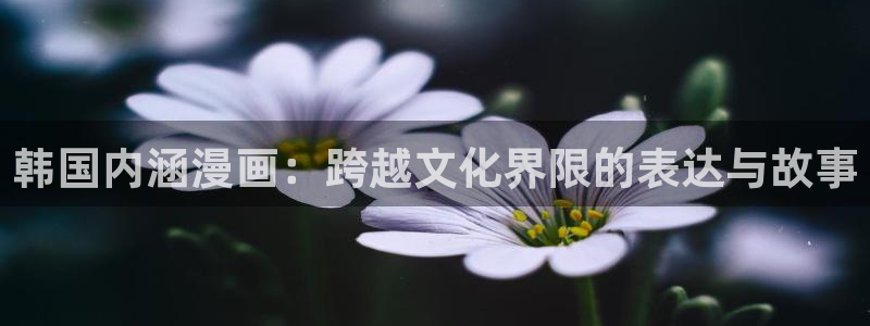 汗汗虫虫漫画正版免费观看：韩国内涵漫画：跨越文化界限的表达与故事