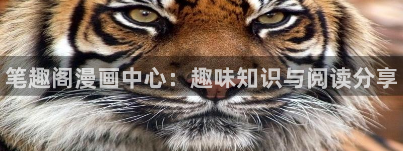 虫虫的动画片：笔趣阁漫画中心：趣味知识与阅读分享