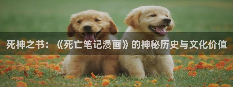 妖精漫画虫虫漫画免费：死神之书：《死亡笔记漫画》的神秘历史与文化价值