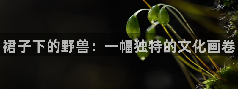 成人漫画虫虫漫画：裙子下的野兽：一幅独特的文化画卷