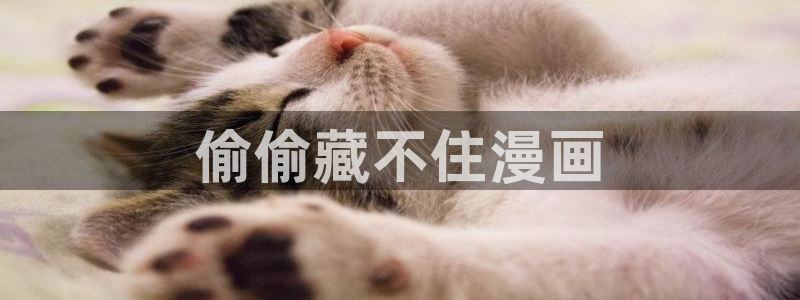虫虫漫画观看页面漫画入口在哪：偷偷藏不住漫画
