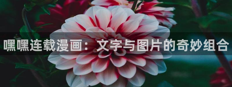 虫虫漫画网：嘿嘿连载漫画：文字与图片的奇妙组合