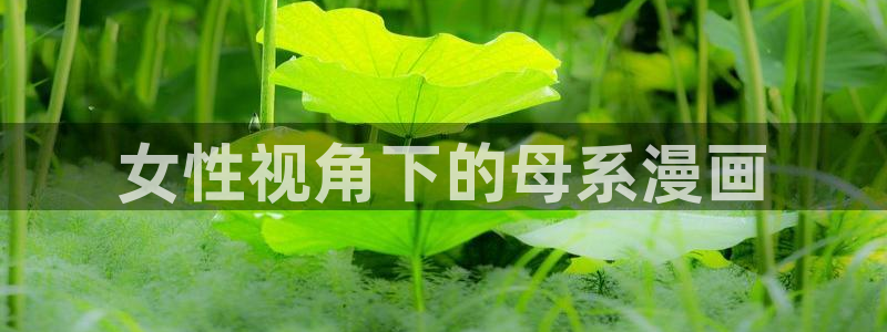 虫虫漫画免费漫画入口：女性视角下的母系漫画