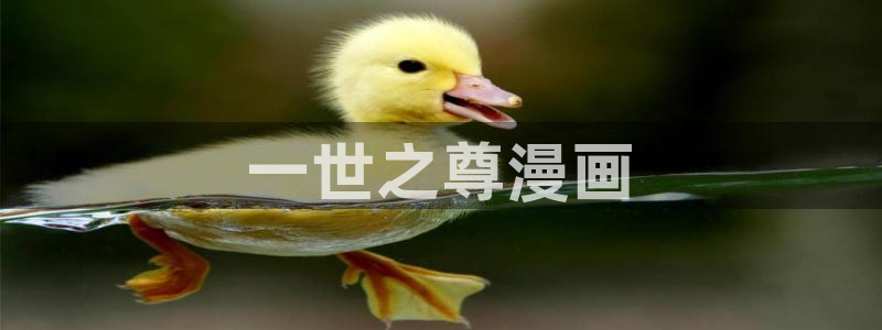 虫虫漫画网页免费入口